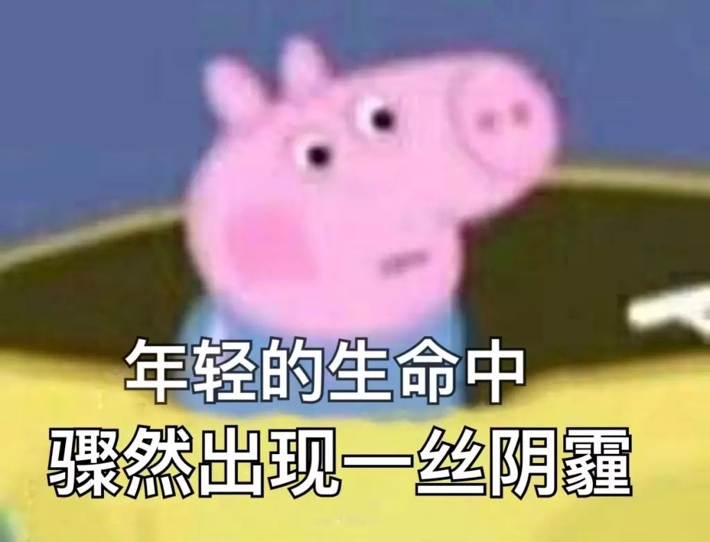 奇变不变符号看象限_奇变偶不变符号看象限_奇变偶不变符号看象限