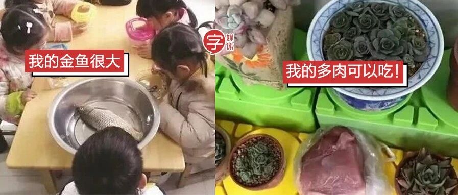 幼儿园的“花样作业”，到底逼疯了多少家长？