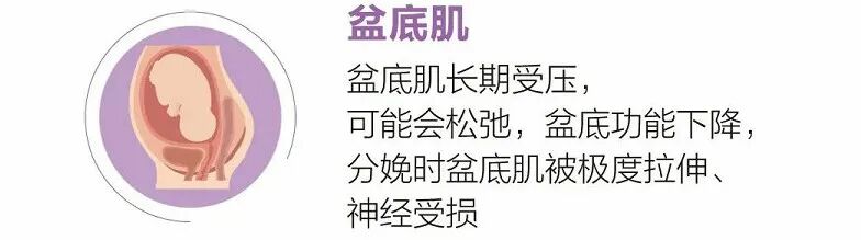 产后怎么康复治疗@产后妈妈，咳嗽漏尿、产后难言之隐，盆底康复治疗让你告别尴尬！_https://www.jmylbn.com_新闻资讯_第7张