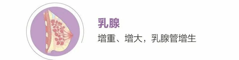 产后怎么康复治疗@产后妈妈，咳嗽漏尿、产后难言之隐，盆底康复治疗让你告别尴尬！_https://www.jmylbn.com_新闻资讯_第4张