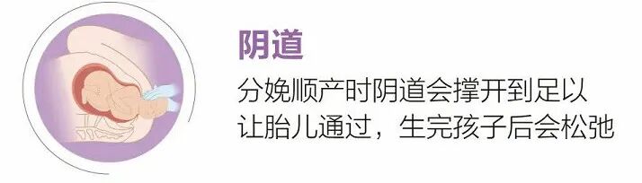 产后怎么康复治疗@产后妈妈，咳嗽漏尿、产后难言之隐，盆底康复治疗让你告别尴尬！_https://www.jmylbn.com_新闻资讯_第9张