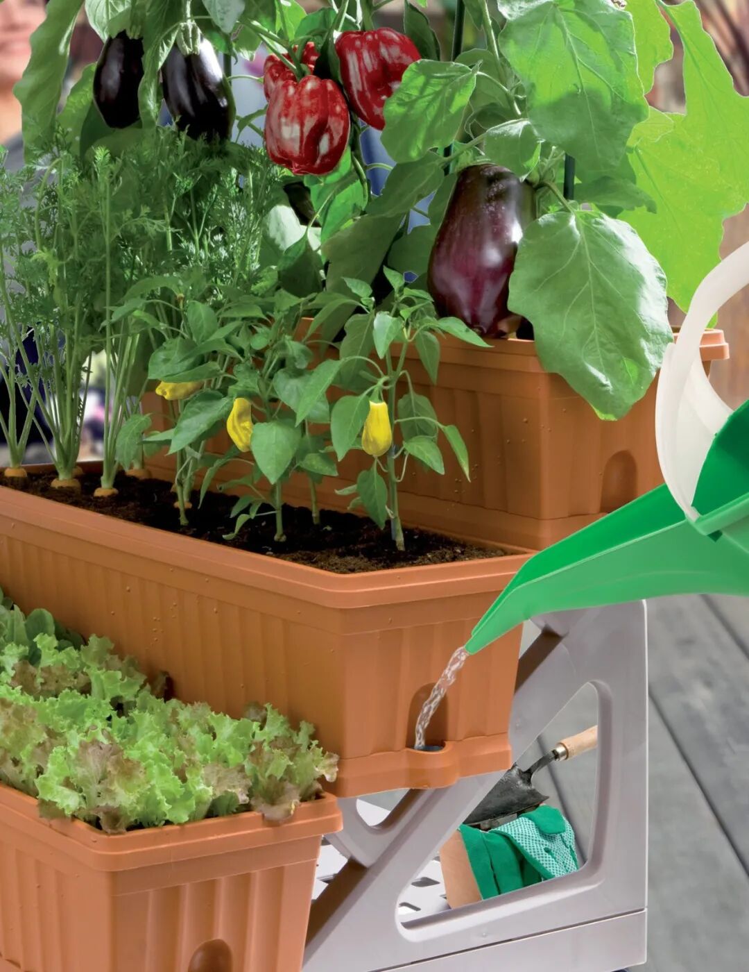 李子柒的田园种菜生活被我搬到6㎡阳台上实现邻居羡慕哭了