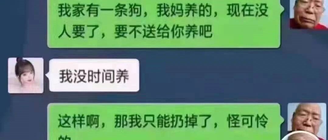 网红“王大爷”合集，笑喷了！