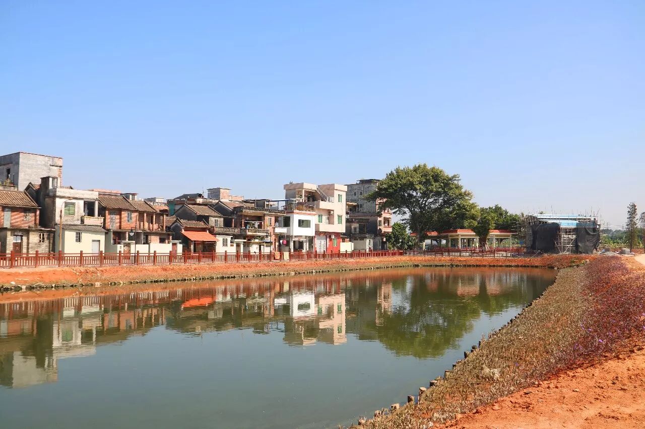 焕然一新,麻涌这个村正迎来华丽变身!