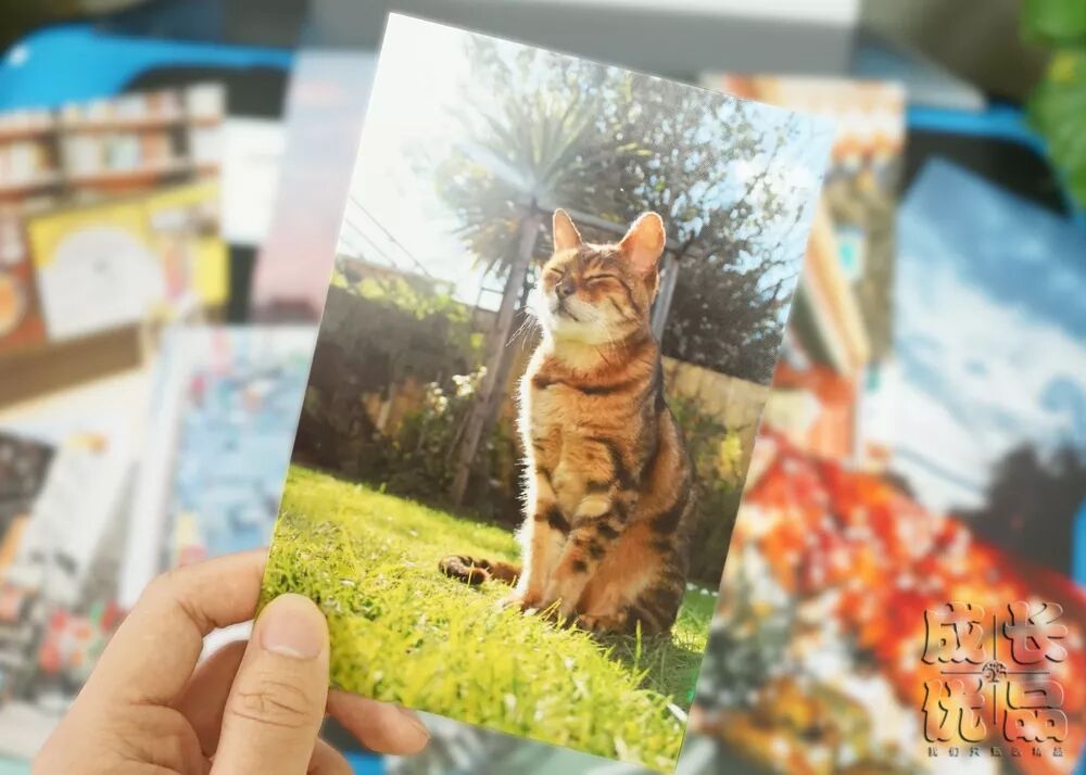 惠普p1108通用驱动_惠普p1108驱动官方下载_惠普p1108打印机驱动下载