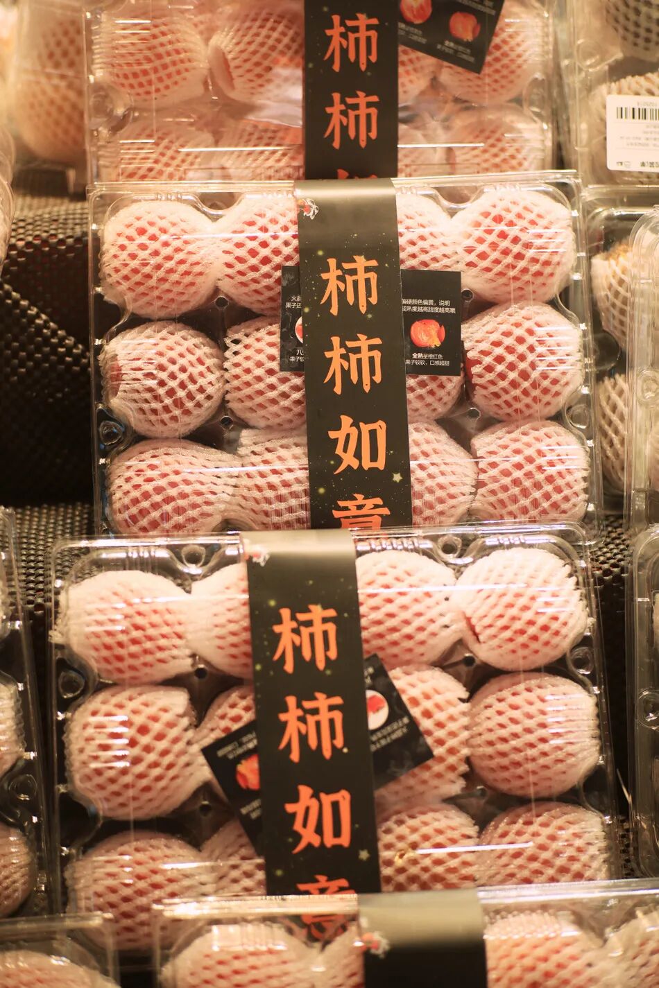 IMG_2538(20221025-194841).JPG 图片