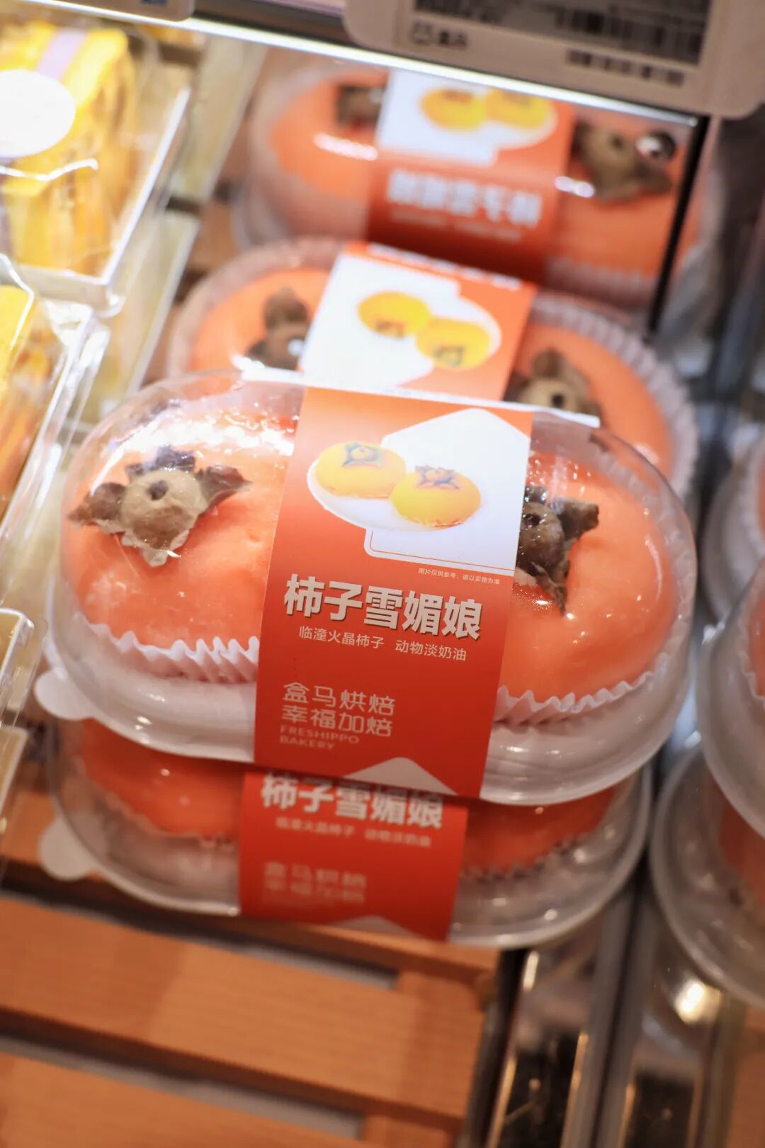 IMG_2536(20221025-194841).JPG 图片