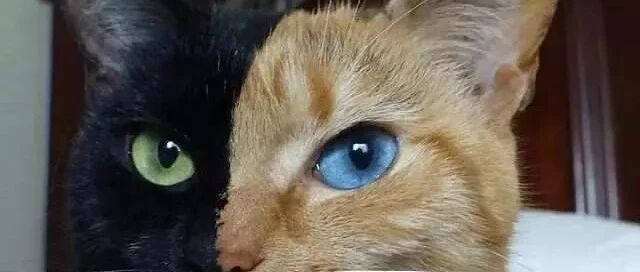 奇闻！夫妻千辛万苦生了个娃，DNA却是“小叔子”的