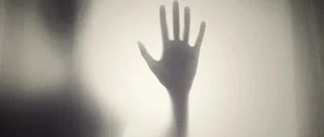 主人隔离宠物被杀，我最担心的一幕还是发生了…