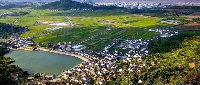 重磅！全国农村集体家底大公开