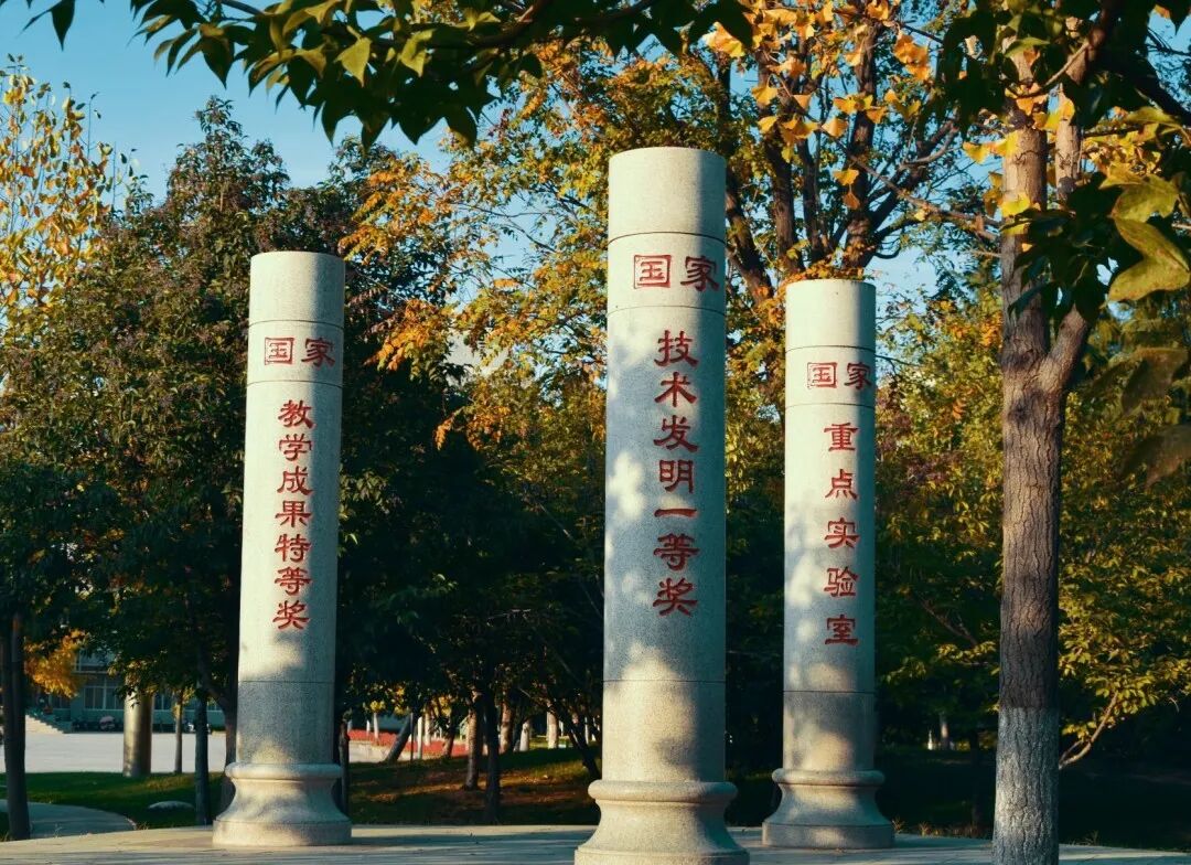 关于农业创业项目_新农业创业项目_农业方面创业项目