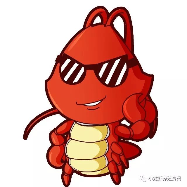 前沿:小龙虾养殖,加工及相关模式