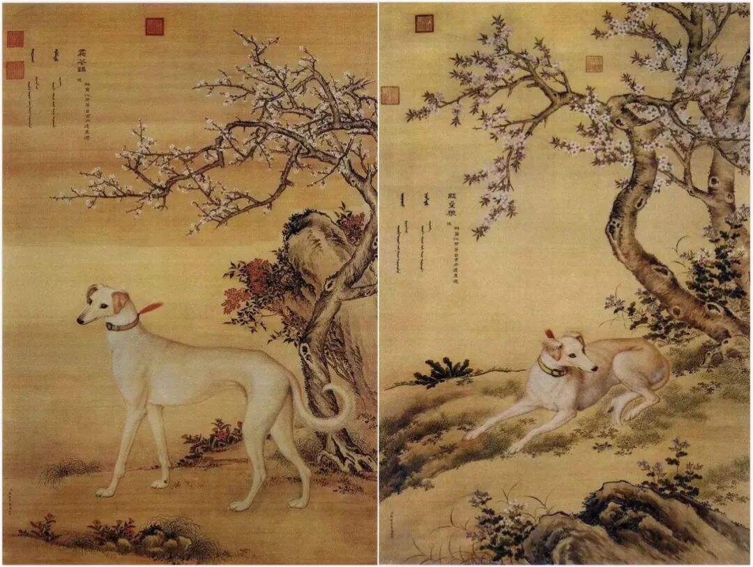 博物馆丨看展览 自由微信 Freewechat