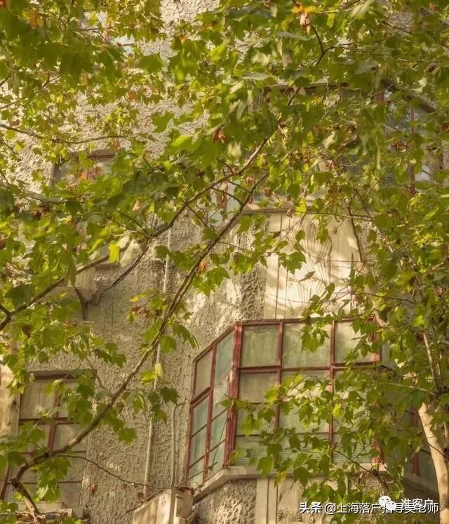 2015年大学生创业好项目_未来几年比较好的创业项目_未来代理创业好项目