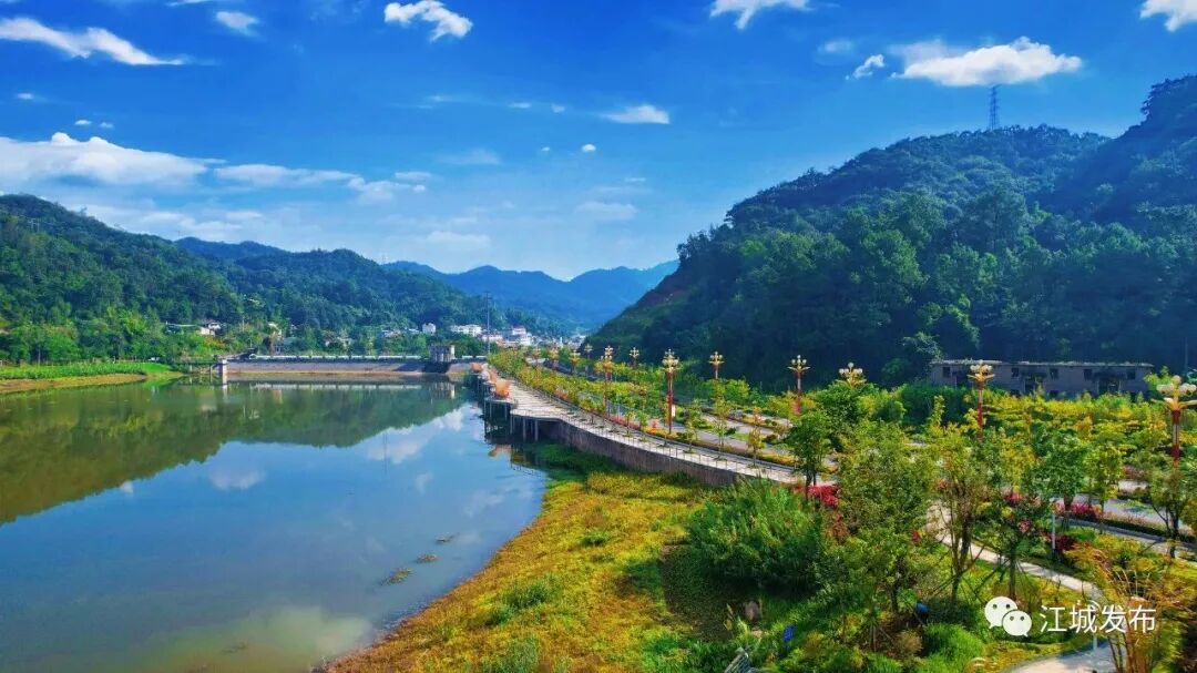 带上"绿"镜 寻找普洱江城冬日里的绿意盎然_资料区_云南频道_云南网