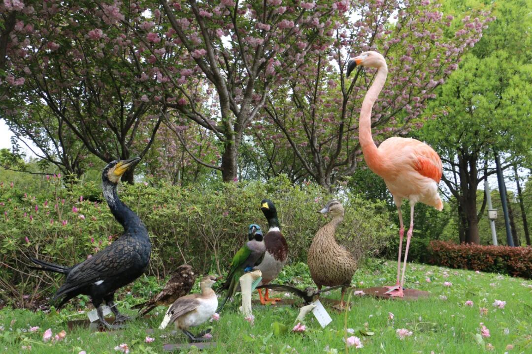 这个春天来苏州上方山和动物朋友们约个会吧