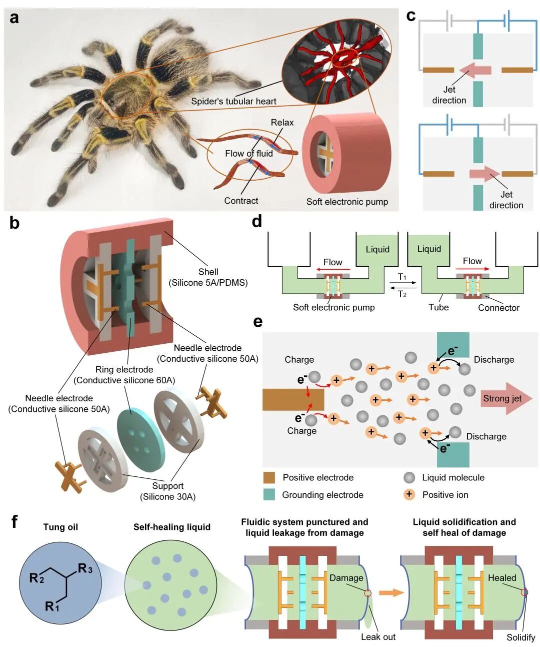 浙大邹俊教授、张超副研究员课题组Nat. Commun.：便携、静音、可自愈的电液泵的图2