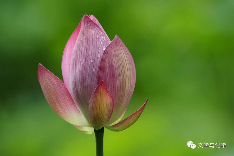 怎么制氧气初中-氧气的制法_https://www.jmylbn.com_新闻资讯_第47张