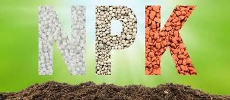 傻傻分不清 养花种菜施肥小百科 这些肥料都有什么用