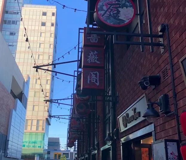 聚焦悉尼华人区宝活（Burwood）(一)：多元宝活市 - 6
