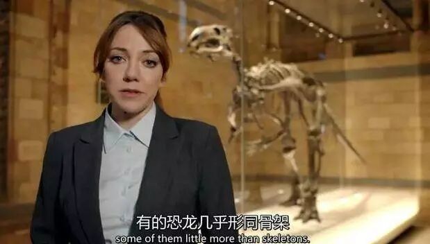 �ⲻ��BBC��¼Ƭ����Ӣ�׵�������