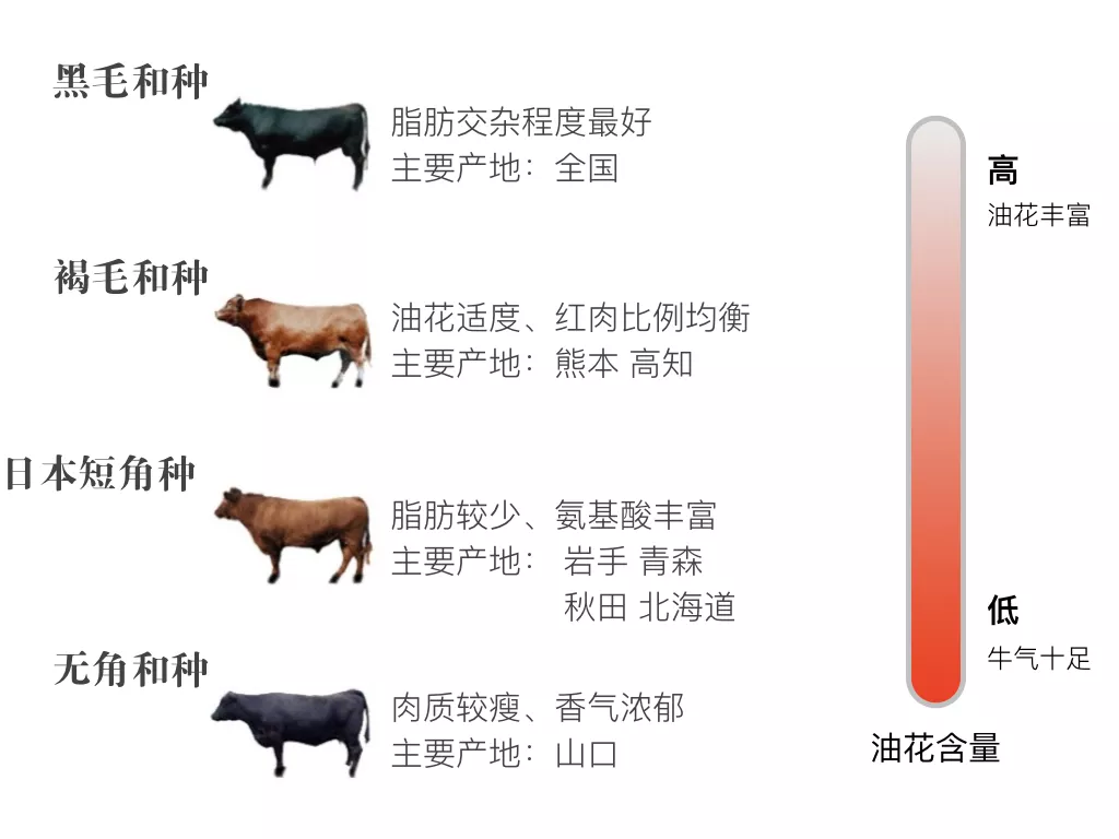 6park Com 日本和牛解禁后 松阪牛 神户牛 这些品牌都有哪些区别