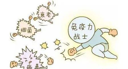 增强身体免疫力，从夏季头皮调理开始！