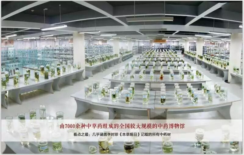 山东力明科技职业学院