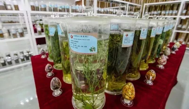 山东力明科技职业学院