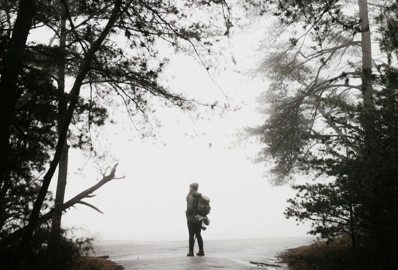 图片[1]-2025年意识科学十大前沿进展-AI Express News