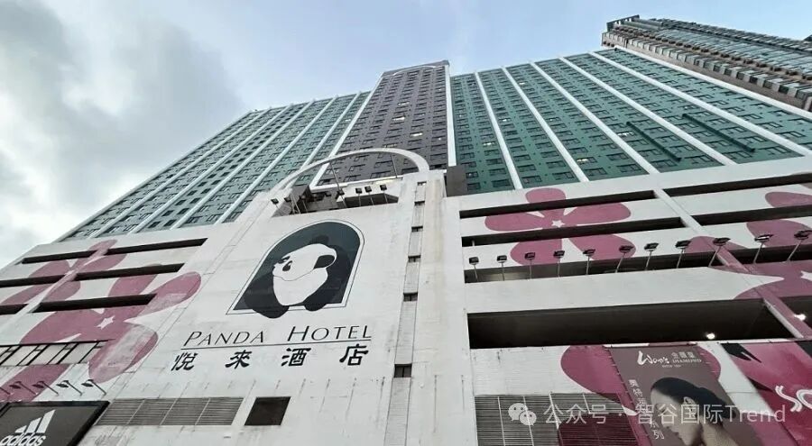 荃灣悅來酒店發生四屍命案37歲男子持刀殺妻兒後墜樓亡-紫荊網