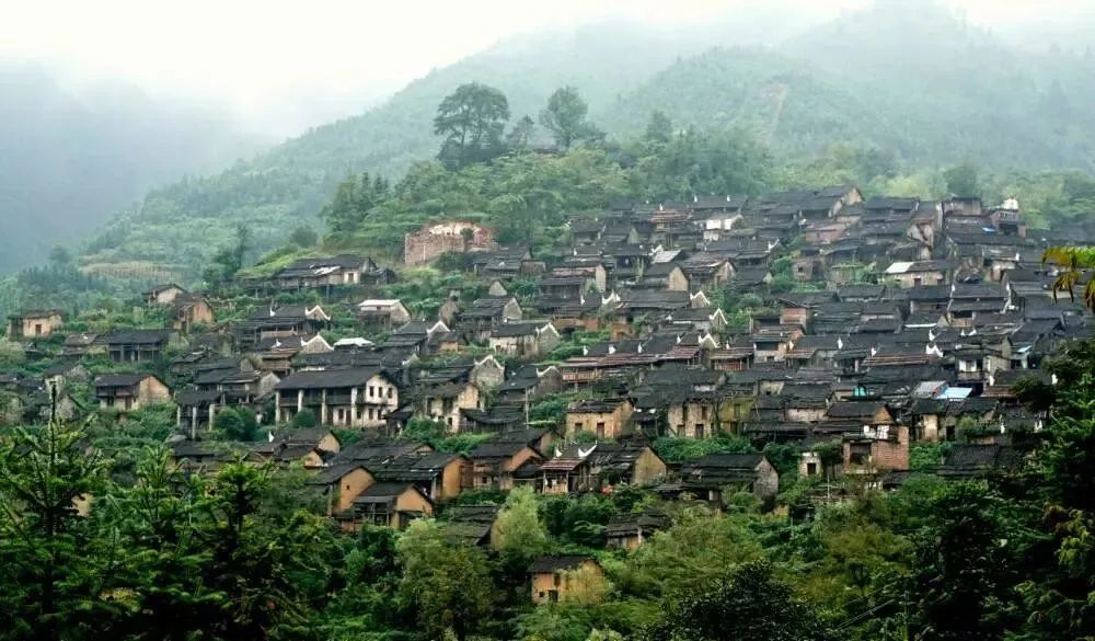 【慢享山水●轻奢度假西溪森林温泉】￥699纯玩3天~泡原生态森林温泉+享无边际温泉池、金秋赏银杏黄金大道、千年古老原始瑶寨