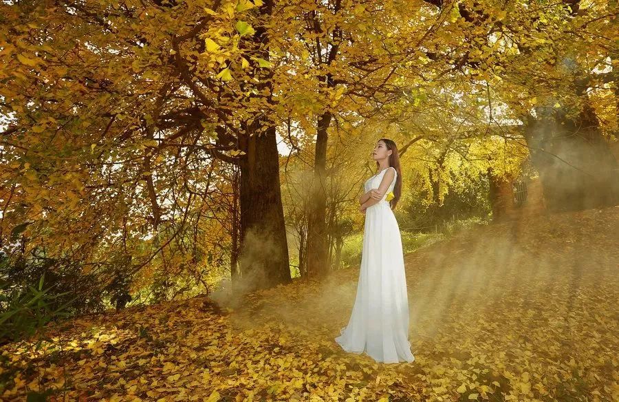 【慢享山水●轻奢度假西溪森林温泉】￥699纯玩3天~泡原生态森林温泉+享无边际温泉池、金秋赏银杏黄金大道、千年古老原始瑶寨