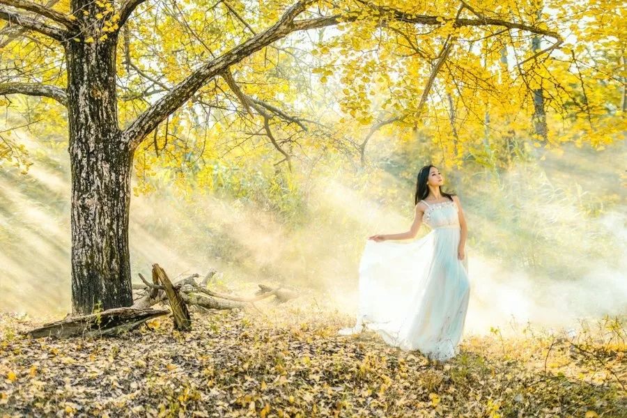 【慢享山水●轻奢度假西溪森林温泉】￥699纯玩3天~泡原生态森林温泉+享无边际温泉池、金秋赏银杏黄金大道、千年古老原始瑶寨