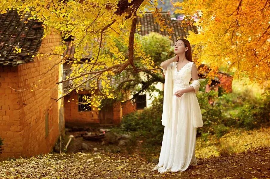 【慢享山水●轻奢度假西溪森林温泉】￥699纯玩3天~泡原生态森林温泉+享无边际温泉池、金秋赏银杏黄金大道、千年古老原始瑶寨