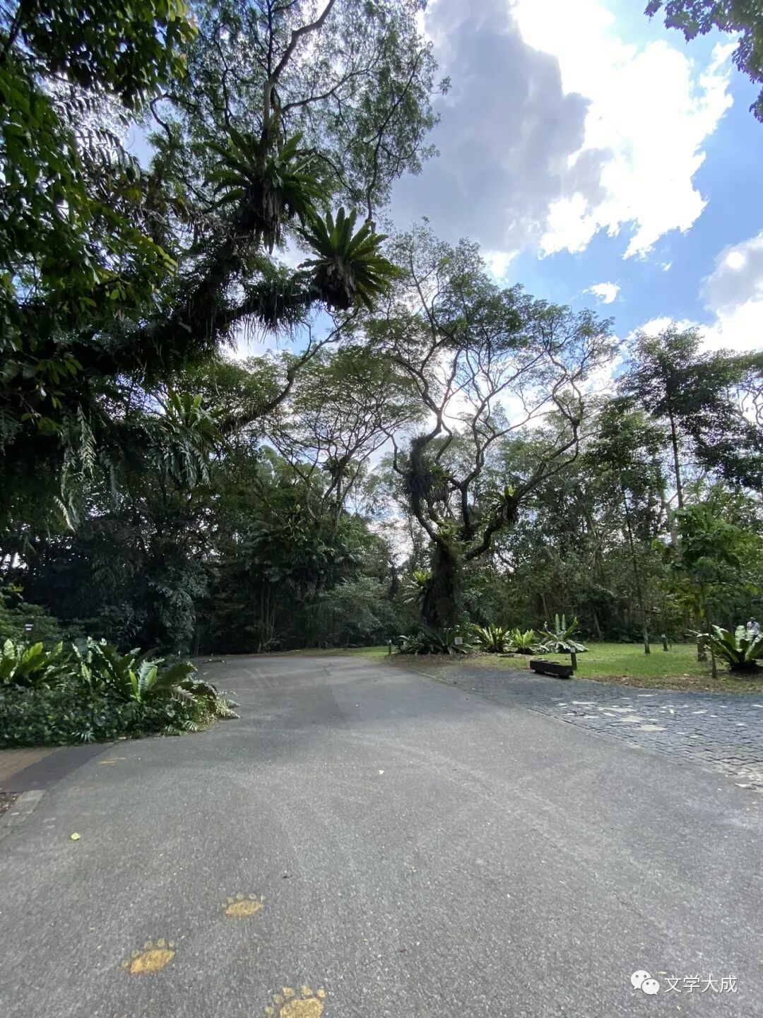 鸟巢能坐多少人_鸟巢能坐多少人观看演唱会_鸟巢满座可以坐多少人