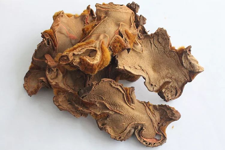 药性歌括四百味058：黑铅、狗脊、骨碎补、茜草