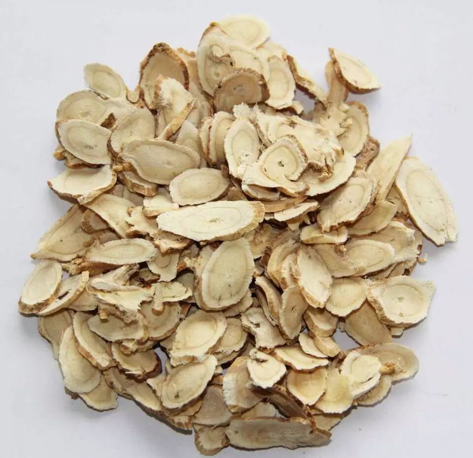 每日一学草药85黄芪