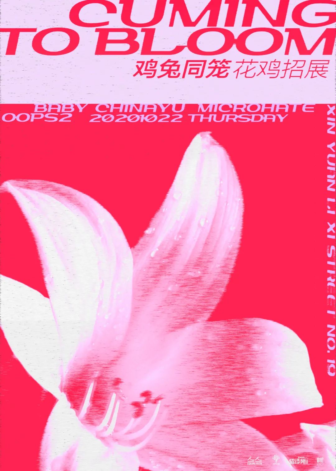 10月22日 来 鸡兔同笼 花鸡招展 Cum To Bloom 自由微信 Freewechat