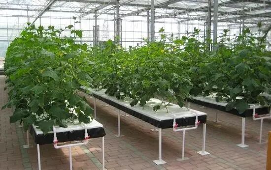 水肥一体机 施肥机价格 无土栽培设备