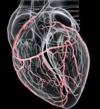 什么是外周支架【世界心脏日】心脏支架植入，八大“灵魂拷问”_https://www.jmylbn.com_新闻资讯_第3张