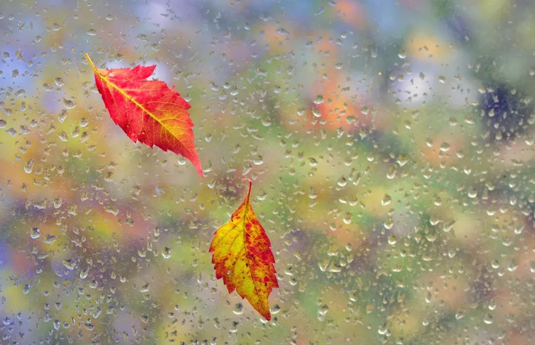 雨山天气