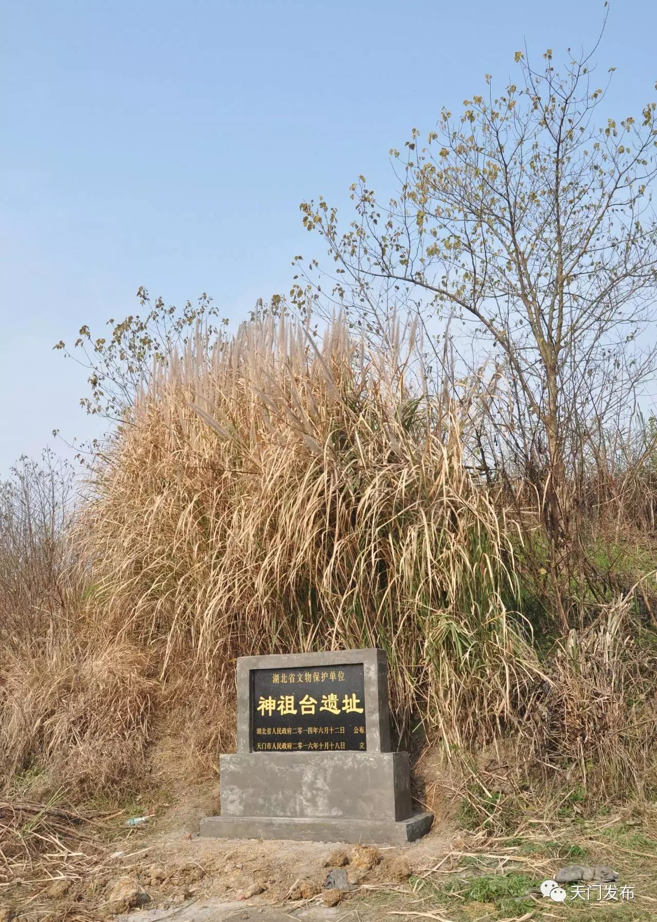 石河鎮的龍嘴遺址位於佛子山鎮的冢子臺墓群