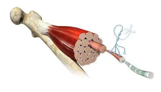什么是中频干扰中频电疗神器——干扰电疗法_https://www.jmylbn.com_新闻资讯_第6张