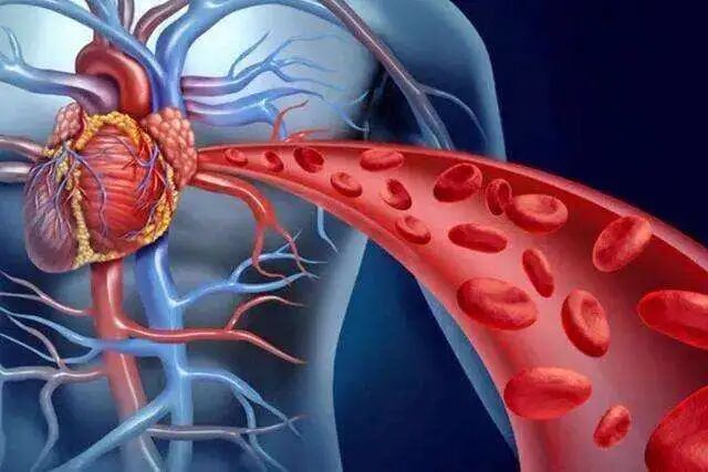 什么是短波治疗高频电疗法——短波疗法_https://www.jmylbn.com_新闻资讯_第3张