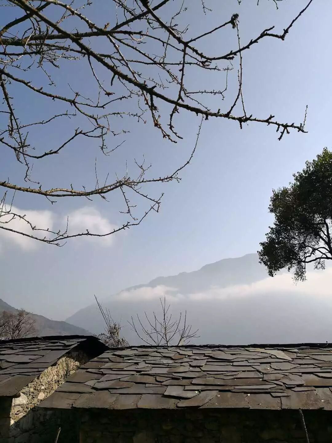 640?wx_fmt=jpeg&tp=webp&wxfrom=5&wx_lazy