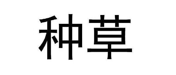 中标了不知道该买啥车？小兵为你定制这波推荐！