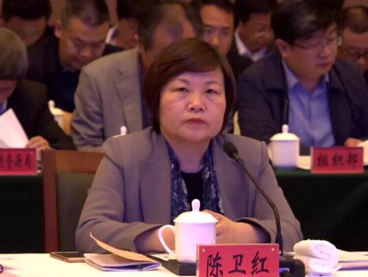 盐城市委扫黑除恶督导组来我市督导扫黑除恶工作