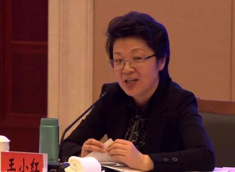 盐城市委扫黑除恶督导组来我市督导扫黑除恶工作