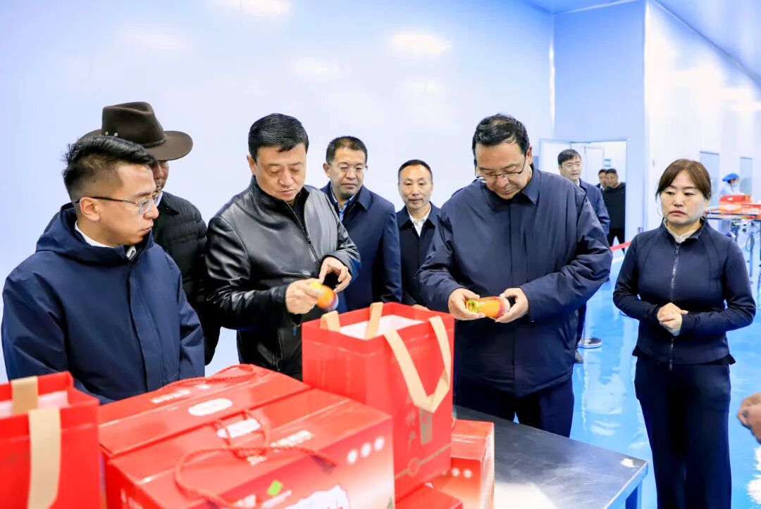 微信图片_20260424085231_930_3.jpg